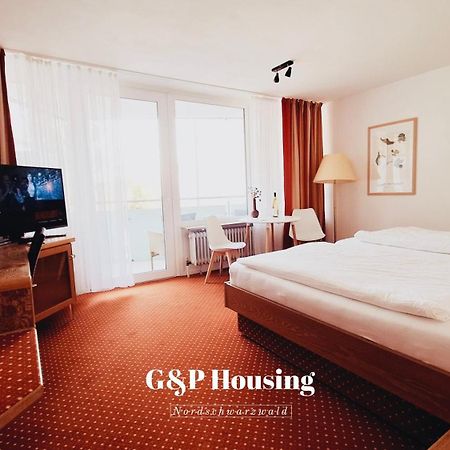 G&P Housing Apartments Mit Kueche & Balkon & Highspeed Internet- Comfort アルテンシュタイク エクステリア 写真