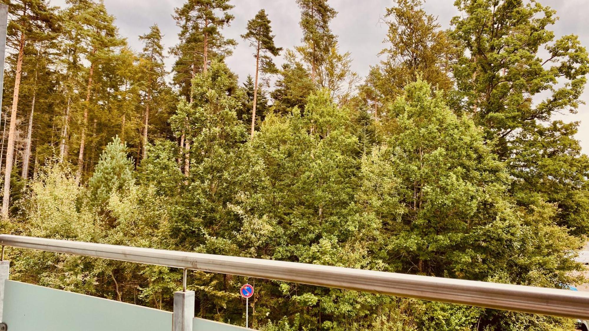 G&P Housing Apartments Mit Kueche & Balkon & Highspeed Internet- Comfort アルテンシュタイク エクステリア 写真