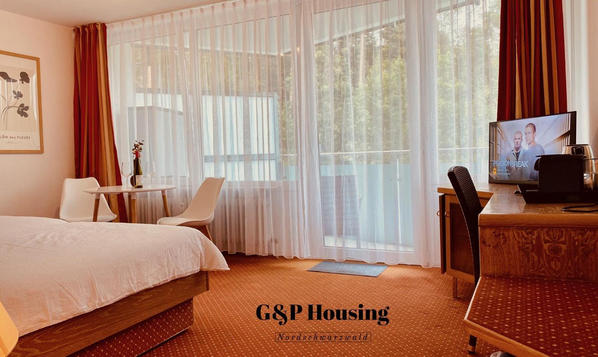 G&P Housing Apartments Mit Kueche & Balkon & Highspeed Internet- Comfort アルテンシュタイク エクステリア 写真