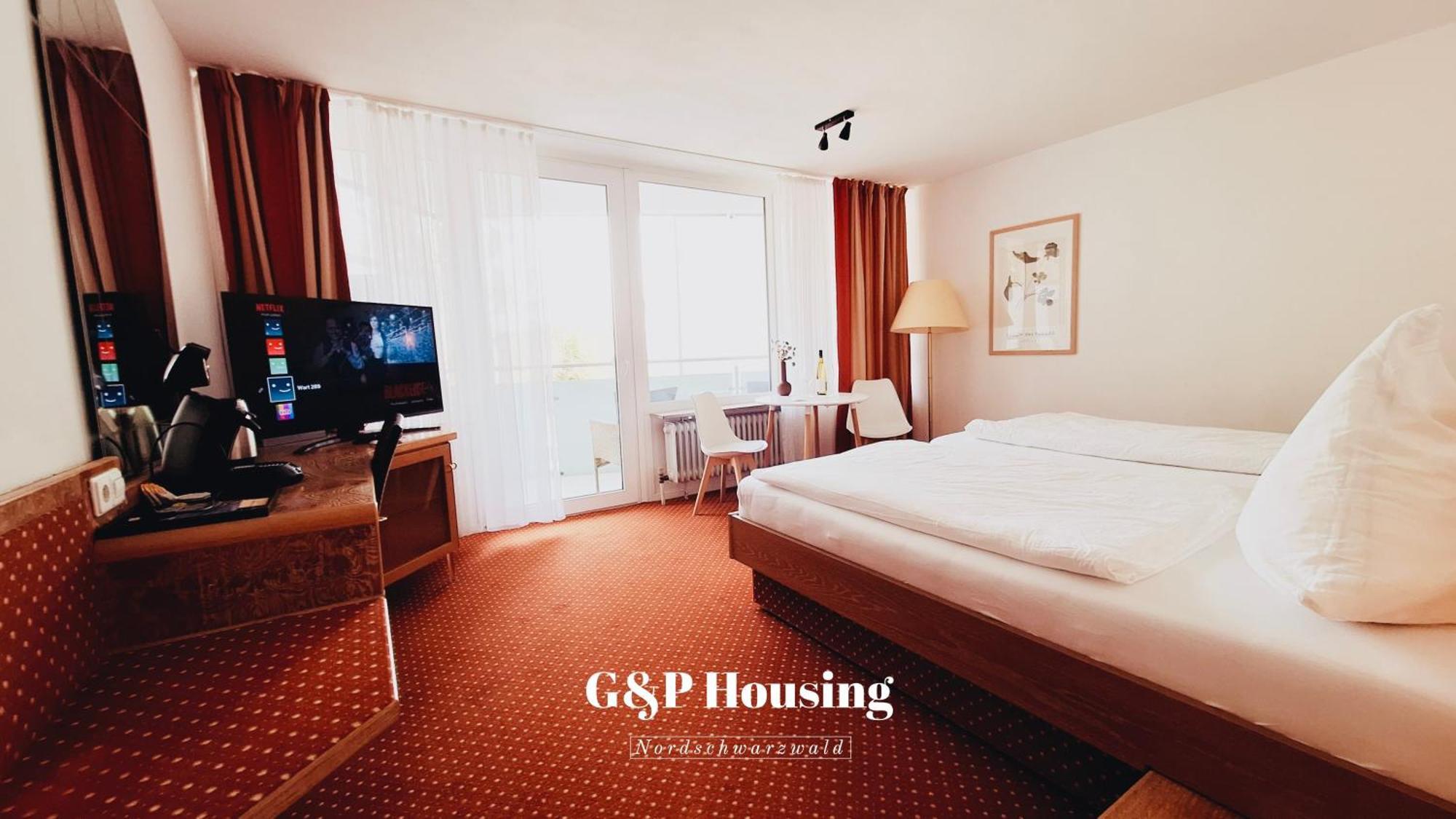G&P Housing Apartments Mit Kueche & Balkon & Highspeed Internet- Comfort アルテンシュタイク エクステリア 写真
